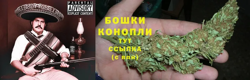 Конопля Bruce Banner  купить закладку  Старая Купавна 